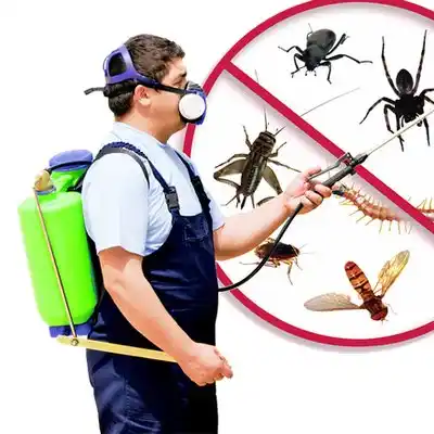 pest control East Farmingdale